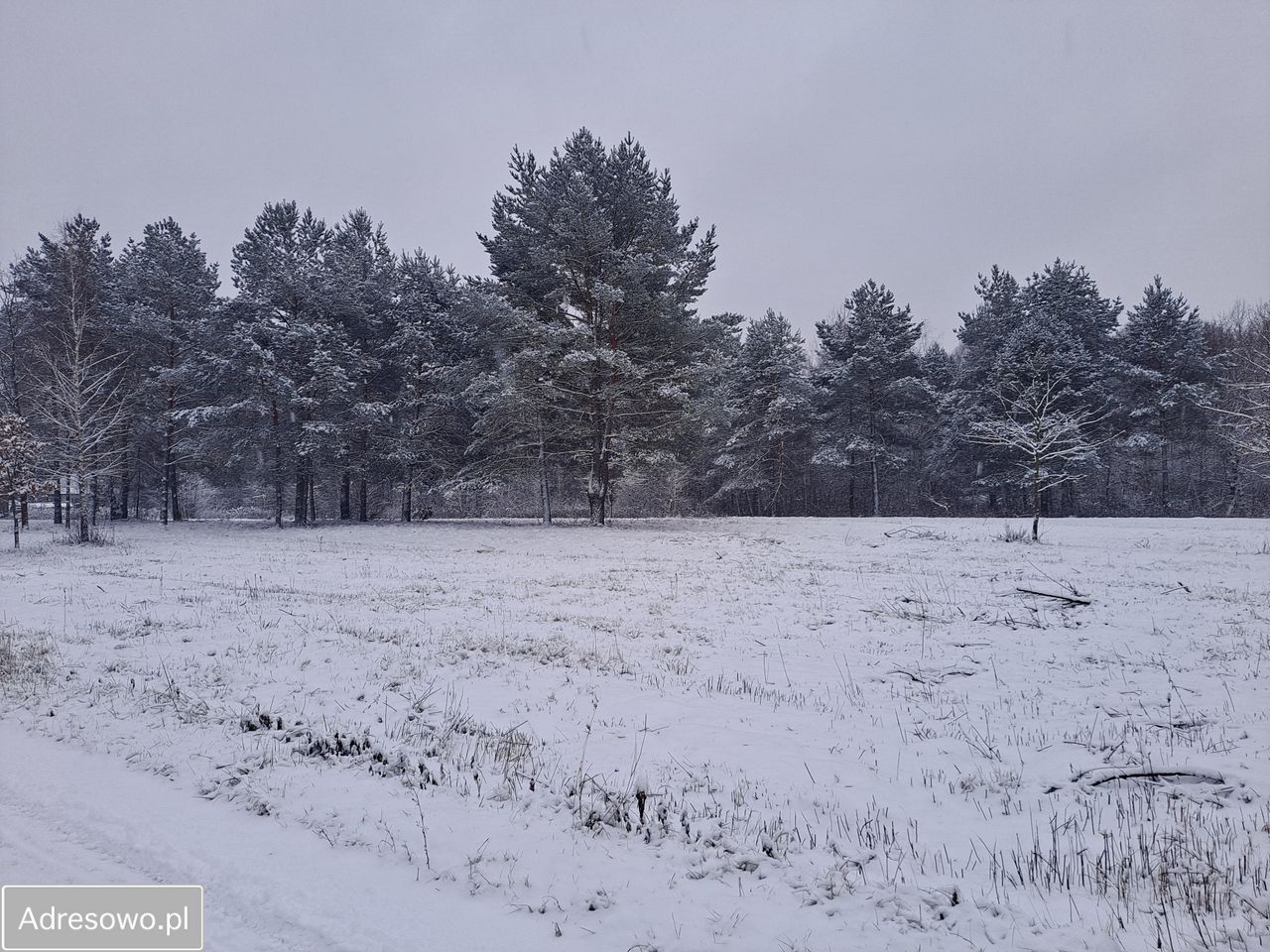 Działka budowlana Duchnów