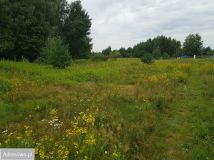 Działka budowlana Janowo. Zdjęcie 4