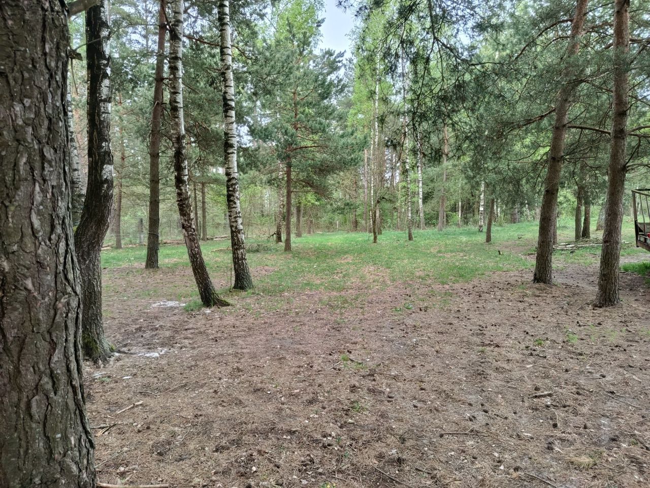 Działka rolno-budowlana Wyrandy. Zdjęcie 6