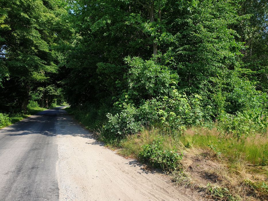 Działka rolno-budowlana Karnieszewice. Zdjęcie 5