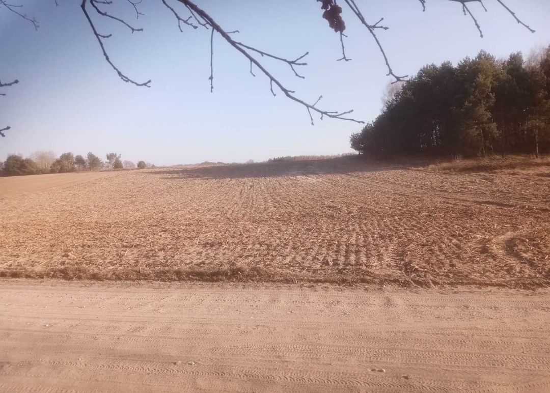 Działka budowlana Białkowo. Zdjęcie 7