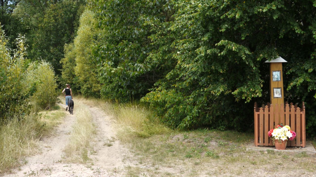 Działka budowlana Stara Huta. Zdjęcie 10