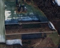 Działka leśna Annopol. Zdjęcie 4