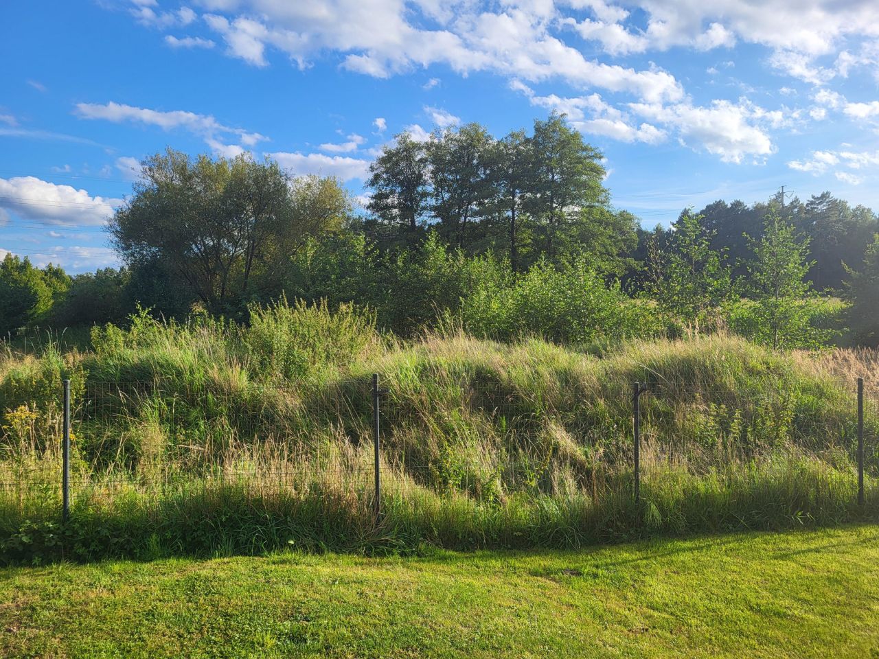 Działka budowlana Radomia Orzewo. Zdjęcie 23
