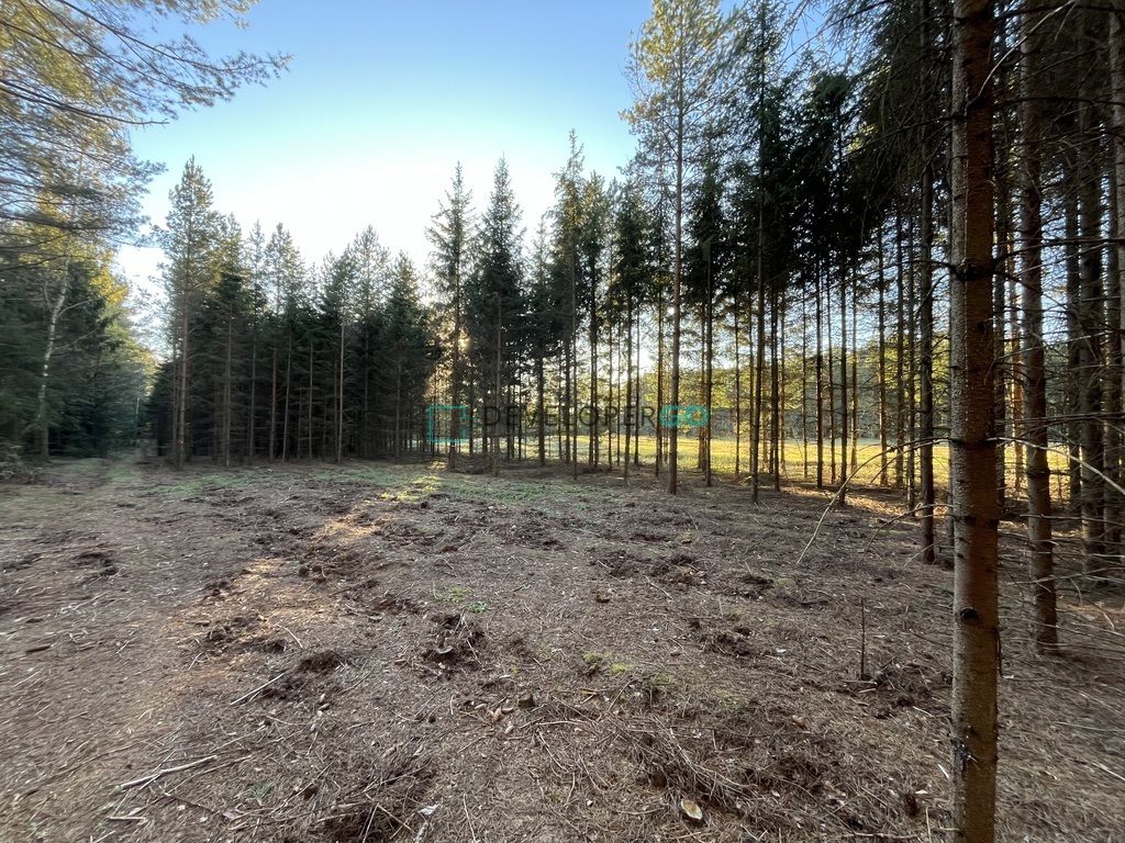 Działka budowlana Szczebra. Zdjęcie 2