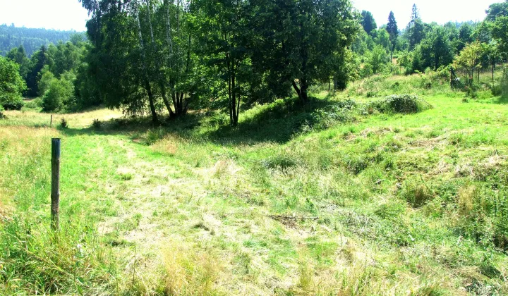 Działka budowlana Bielsko-Biała Straconka, ul. Lisia