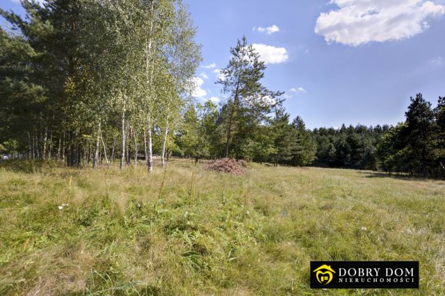 siedlisko, 2 pokoje Opaka Duża. Zdjęcie 10