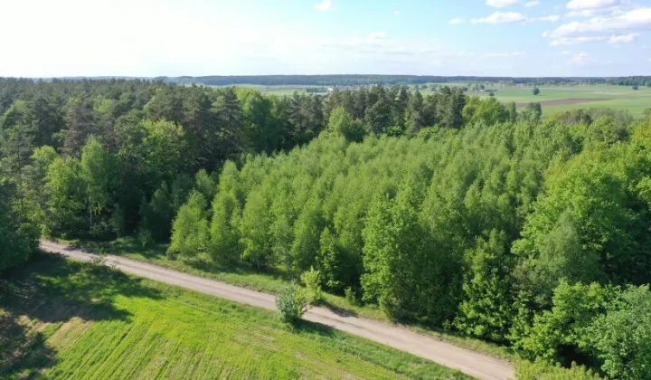 Działka leśna Stary Cydzyn