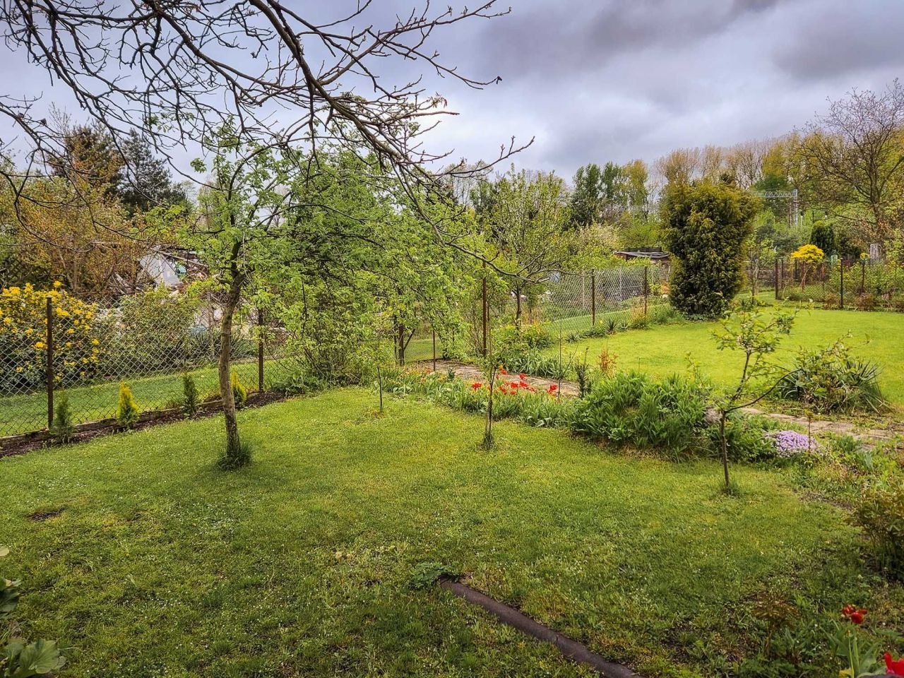 Działka rod Częstochowa Centrum. Zdjęcie 4