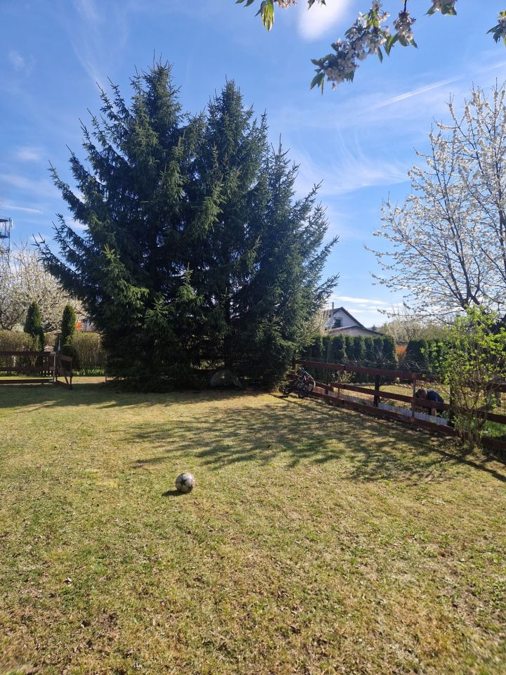 Działka rod Nowa Sól. Zdjęcie 8