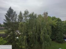Mieszkanie 3-pokojowe Mysłowice, ul. Saperów Śląskich. Zdjęcie 4