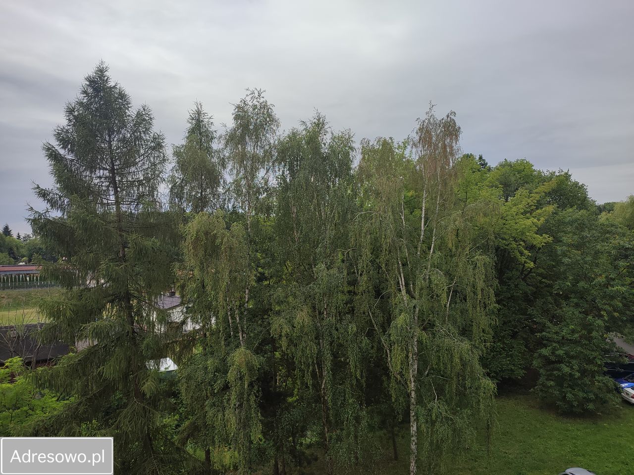 Mieszkanie 3-pokojowe Mysłowice, ul. Saperów Śląskich. Zdjęcie 5