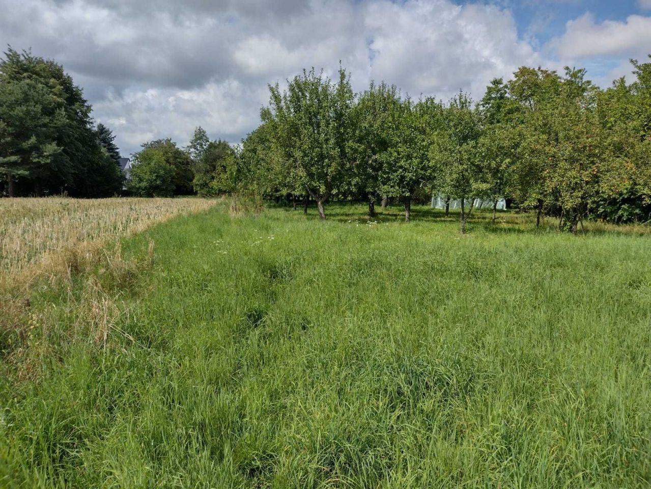 Działka inwestycyjna Cianowice. Zdjęcie 4