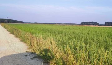 Działka budowlana Stara Kuźnica