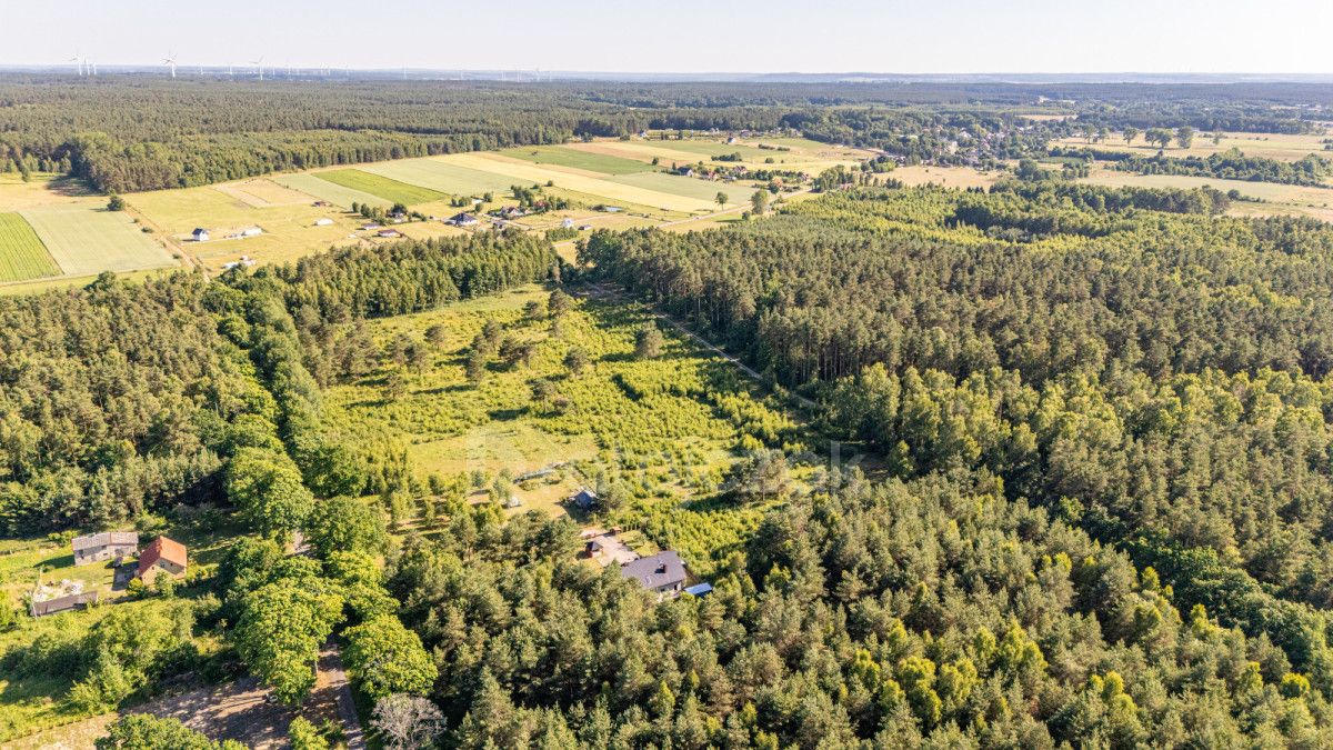 dom wolnostojący, 7 pokoi Szczenurze. Zdjęcie 16