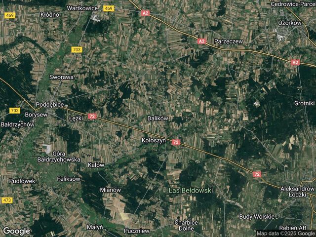 Działka rolna Dalików. Zdjęcie 1