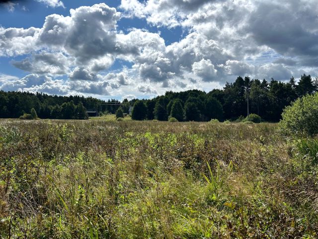 Działka budowlana Leśniewo. Zdjęcie 1