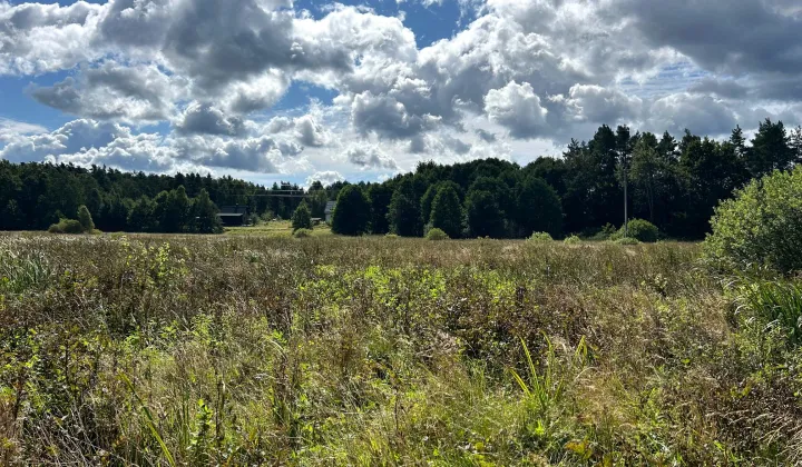 Działka budowlana Leśniewo
