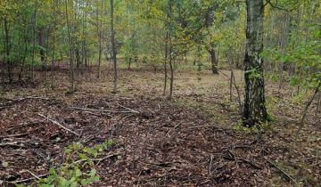 Działka budowlana Jaktorów-Kolonia, ul. Nowowiejskiego