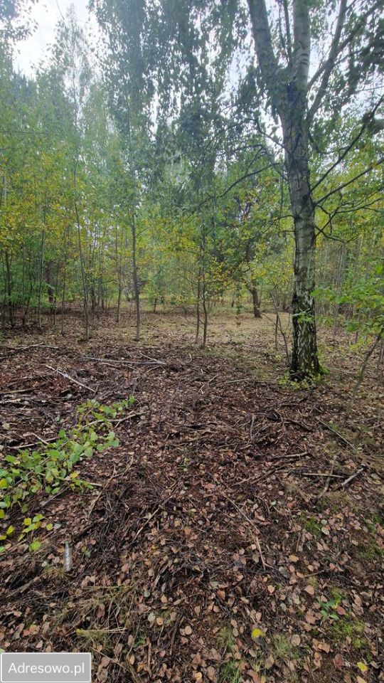 Działka budowlana Jaktorów-Kolonia, ul. Nowowiejskiego