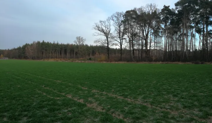 Działka budowlana Czekanów, ul. Środkowa