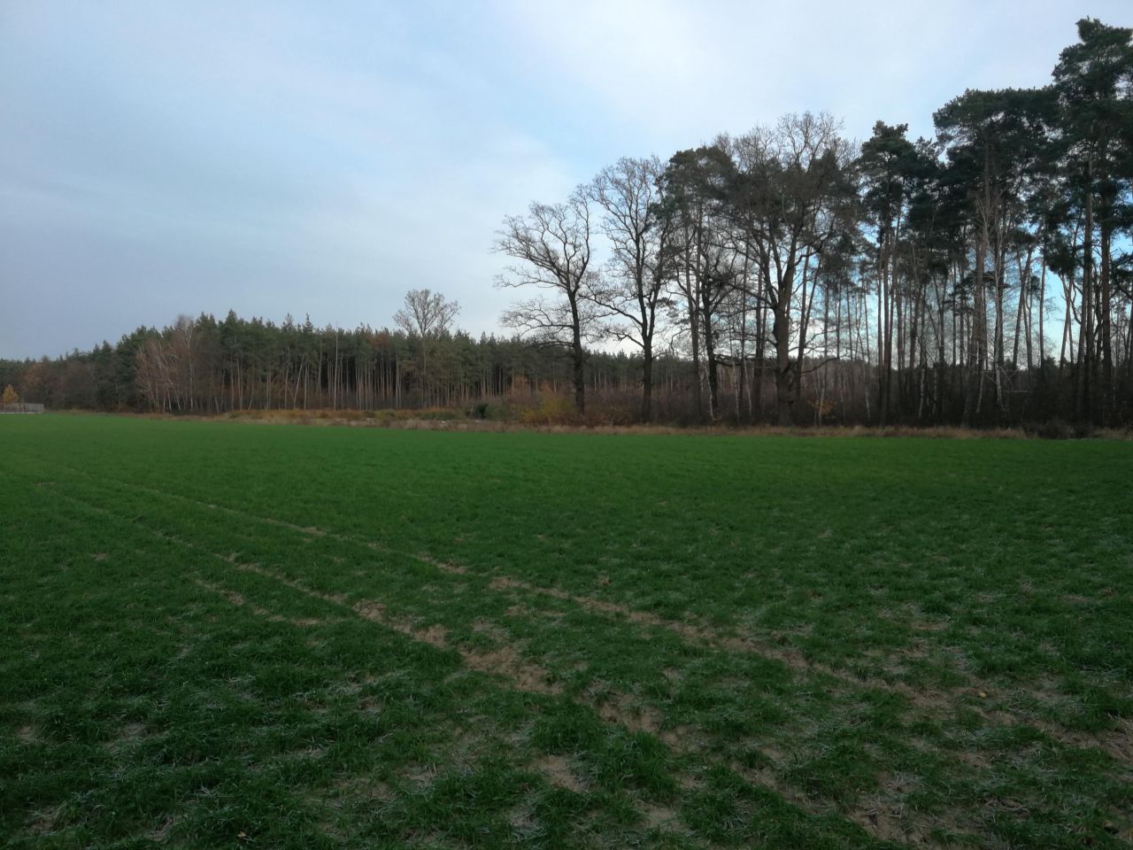 Działka budowlana Czekanów, ul. Środkowa. Zdjęcie 1