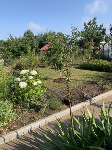 Działka rod Koszalin Kretomino, ul. Palmowa. Zdjęcie 1