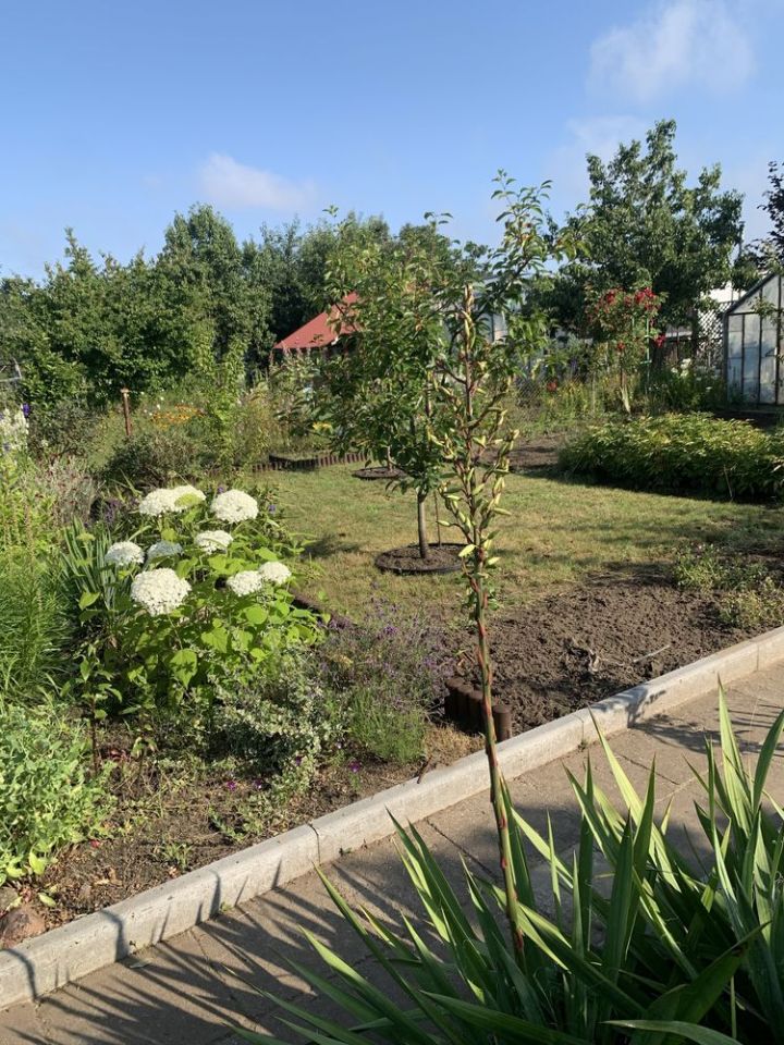 Działka rod Koszalin Kretomino, ul. Palmowa. Zdjęcie 1