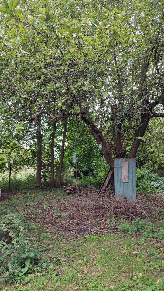 Działka budowlana Lutomiersk Zagrodniki, ul. Bartosza Głowackiego. Zdjęcie 6
