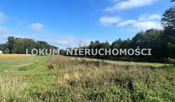 Działka rolna Gołkowice, ul. Celna