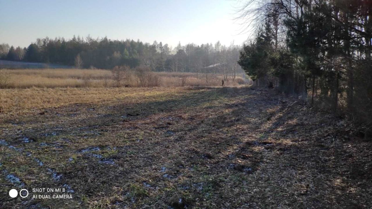 Działka inwestycyjna Antoninów. Zdjęcie 7