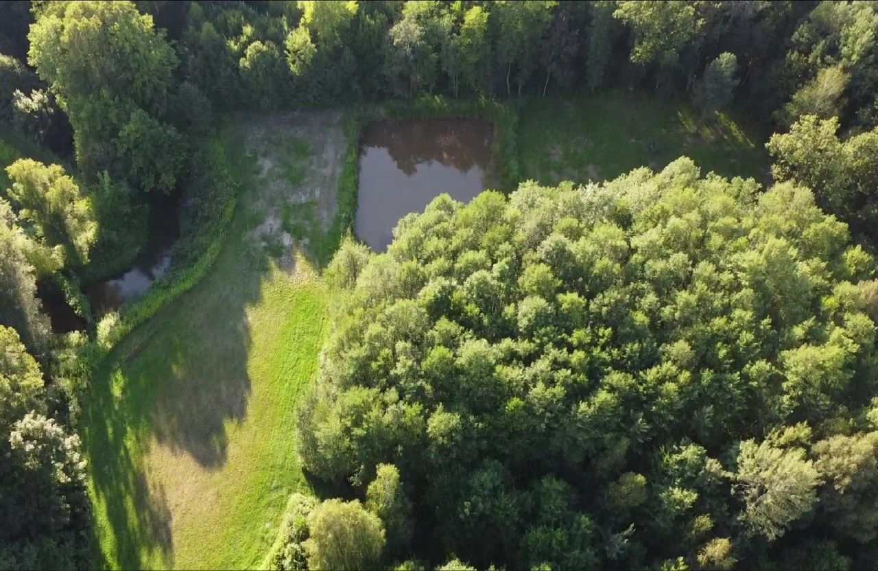 Działka rekreacyjna Irena. Zdjęcie 7