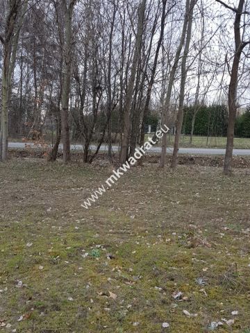 Działka budowlana Żelechów, ul. Topolowa. Zdjęcie 4