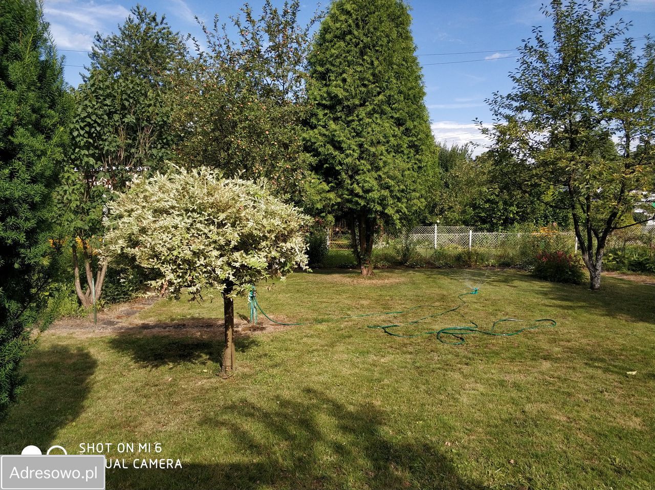 Działka rod Kraków Zwierzyniec. Zdjęcie 2