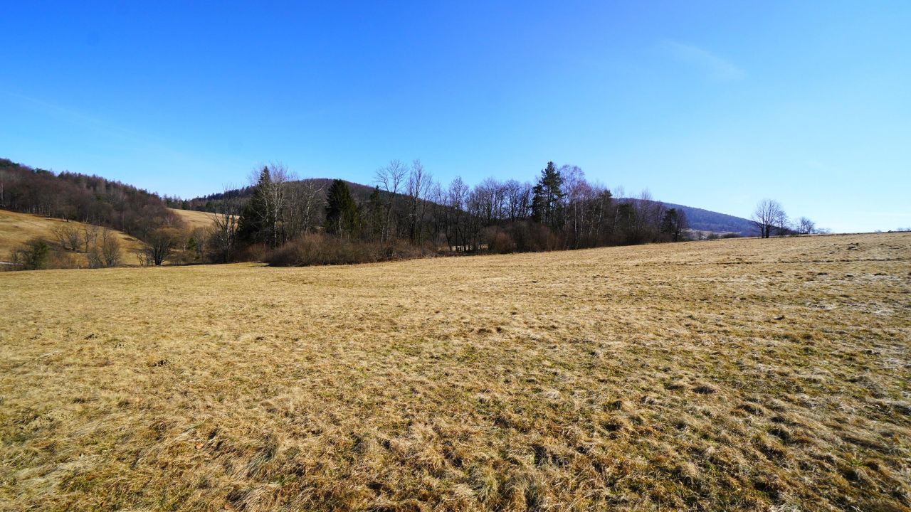 Działka rolna Regietów. Zdjęcie 7