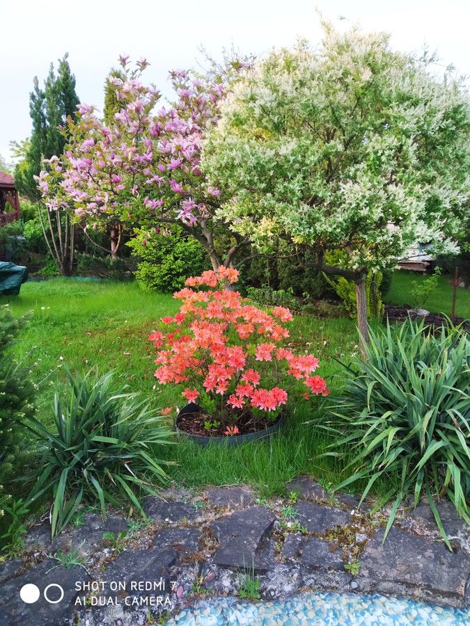 Działka rod Łódź. Zdjęcie 4