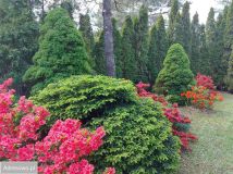 Działka rod Krępa, ul. Długa. Zdjęcie 1