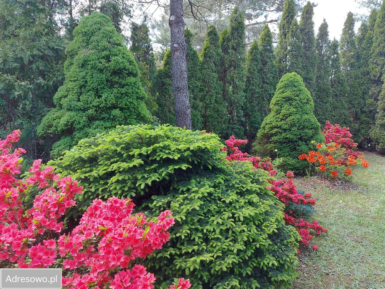 Działka rod Krępa, ul. Długa. Zdjęcie 2