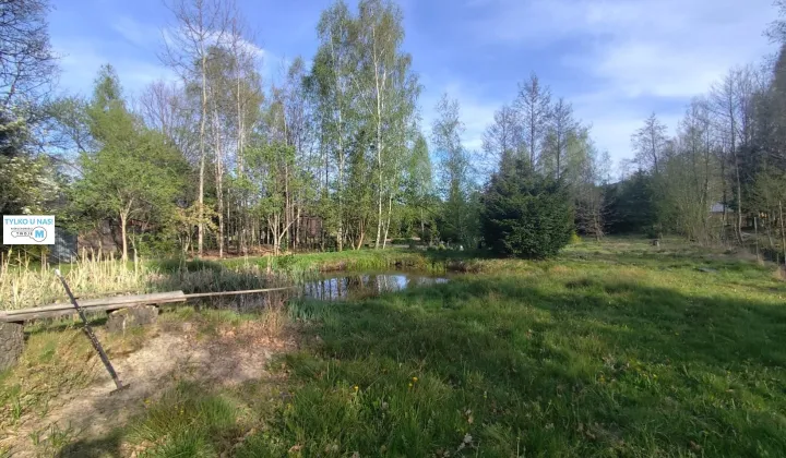 Działka rolna Święta Katarzyna