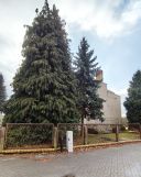 dom szeregowy, 5 pokoi Bogatynia, ul. Ignacego Daszyńskiego. Zdjęcie 3