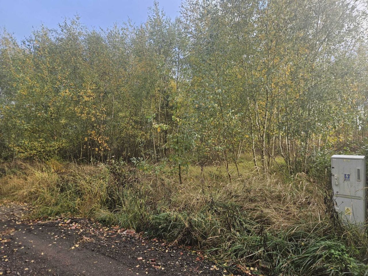Działka budowlana Marcinowice, ul. Leśna. Zdjęcie 2