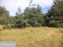 Działka siedliskowa Rędziny. Zdjęcie 2