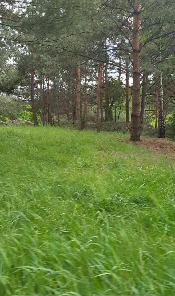 Działka budowlana Doratynka Skaryszewo. Zdjęcie 4