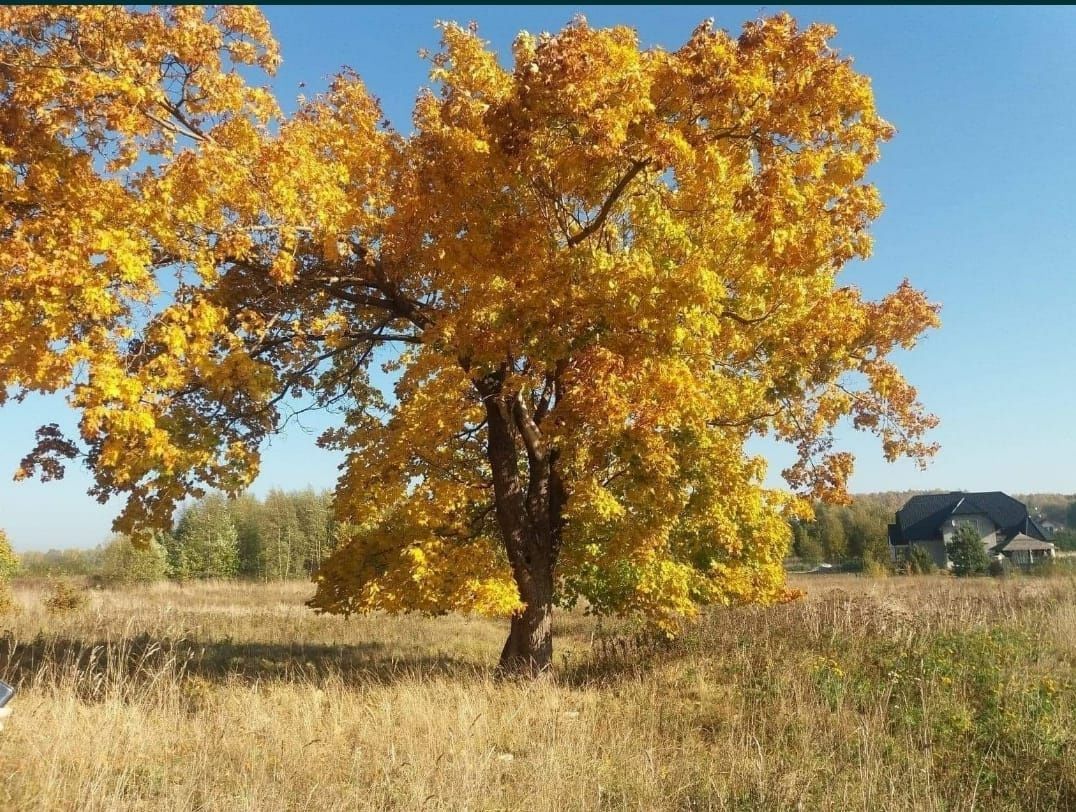 Działka budowlana Kowalewo, ul. Wiśniowa. Zdjęcie 5