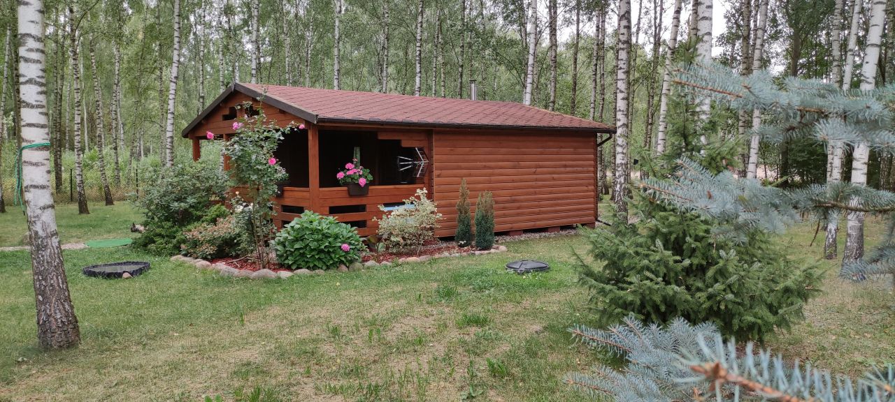 Działka rolno-budowlana Brodowo-Wity. Zdjęcie 9