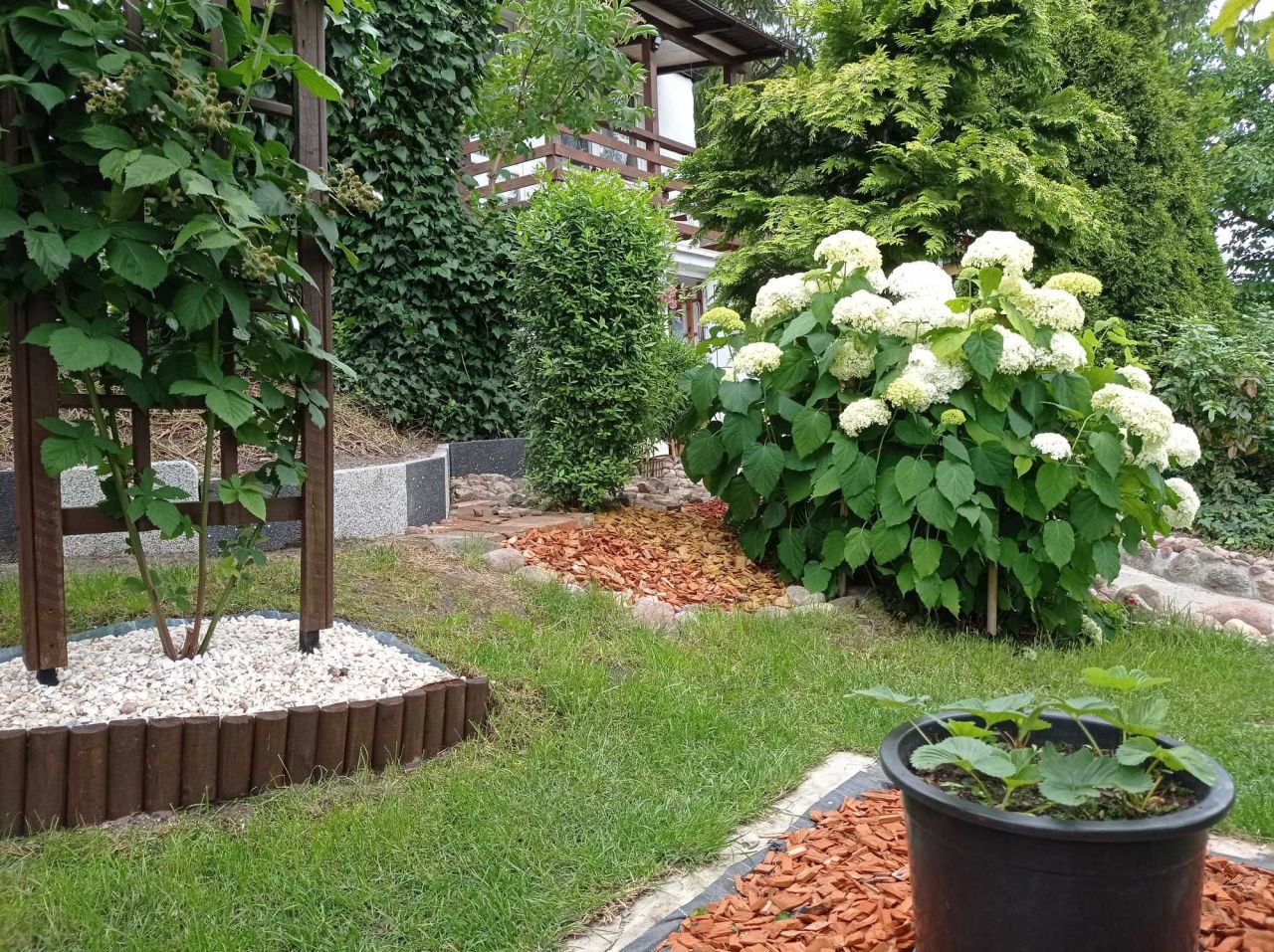 Działka rod Bydgoszcz. Zdjęcie 4