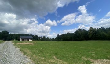 Działka rolno-budowlana Trzemeszna