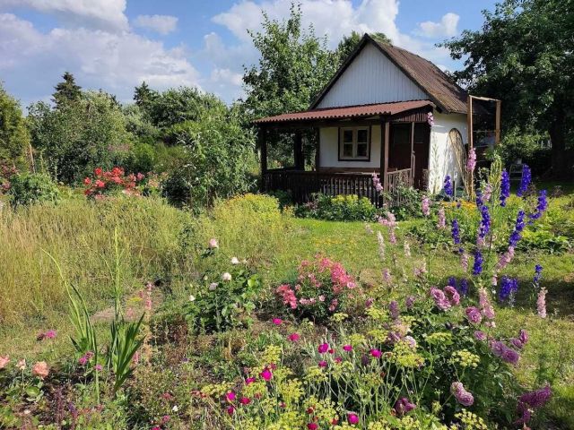 Działka rod Szczecin Gumieńce, ul. Ku Słońcu. Zdjęcie 1