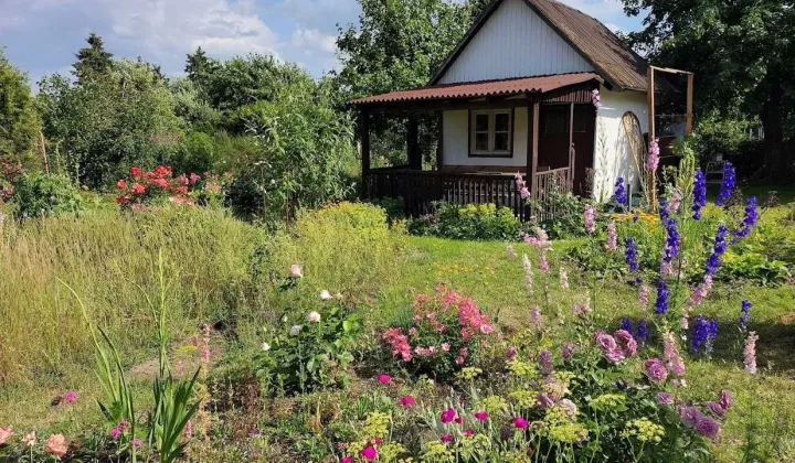 Działka rod Szczecin Gumieńce, ul. Ku Słońcu