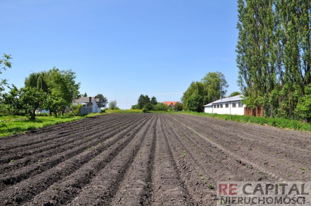 Działka rolno-budowlana Koczargi Nowe, ul. Bugaj. Zdjęcie 3